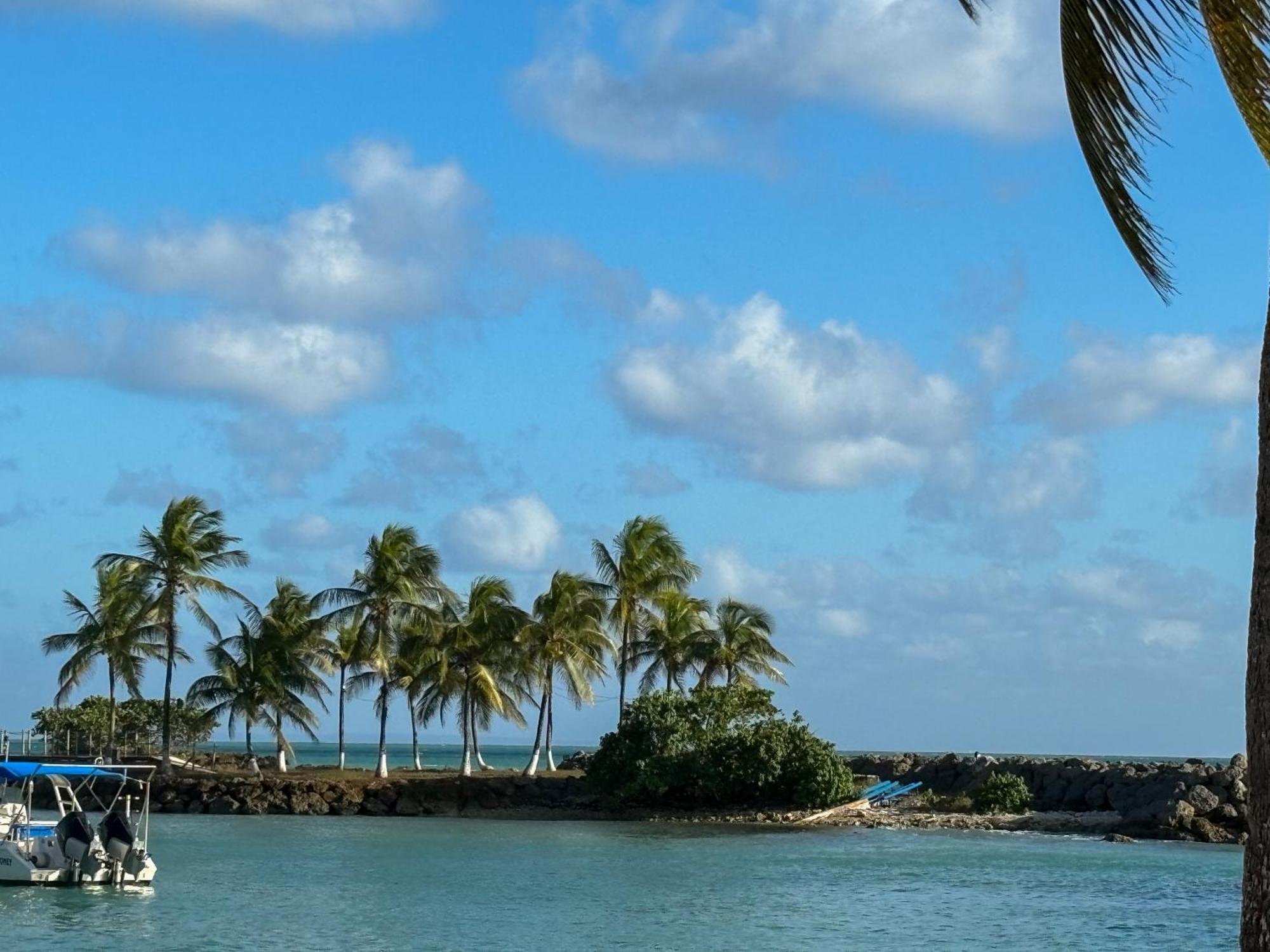 Charmant Studio Vue Mer Sans Coupure D'Eau Le Gosier  Kültér fotó